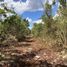  Land for sale in Valladolid, Yucatan, Valladolid