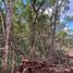  Land for sale in Valladolid, Yucatan, Valladolid