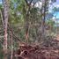  Land for sale in Valladolid, Yucatan, Valladolid
