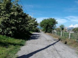  Grundstück zu verkaufen in Cuernavaca, Morelos, Cuernavaca, Morelos
