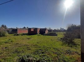  Land for sale in La Plata, Buenos Aires, La Plata