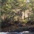  Land for sale in Chile, Cunco, Cautin, Araucania, Chile