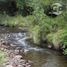 Land for sale in Cunco, Araucania, Cunco, Cautin, Araucania