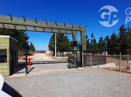  Land for sale in Chile, Casa Blanca, Valparaiso, Valparaiso, Chile