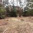  Land for sale in Chile, El Quisco, San Antonio, Valparaiso, Chile