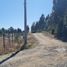  Land for sale in Chile, Puerto Montt, Llanquihue, Los Lagos, Chile