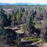  Land for sale in Chile, Puerto Montt, Llanquihue, Los Lagos, Chile