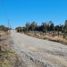  Land for sale in Chile, Puerto Montt, Llanquihue, Los Lagos, Chile