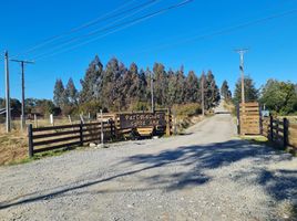  Land for sale in Chile, Puerto Montt, Llanquihue, Los Lagos, Chile