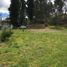  Land for sale in Nulti, Cuenca, Nulti