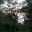  Land for sale in Coatepec, Veracruz, Coatepec