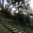 在Coatepec, Veracruz出售的 土地, Coatepec