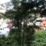 在Coatepec, Veracruz出售的 土地, Coatepec