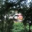 在Coatepec, Veracruz出售的 土地, Coatepec