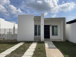 Maison 2 chambre à louer à Merida, Yucatan, Merida