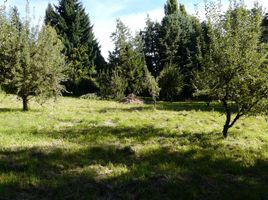  Land for sale in Bariloche Rio Negro, Bariloche, Rio Negro