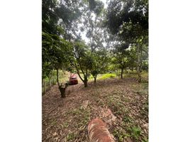  Land for sale in La Mesa, Cundinamarca, La Mesa