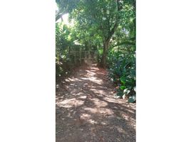  Land for sale in Cali, Valle Del Cauca, Cali