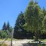  Land for sale in Neuquen, Los Lagos, Neuquen