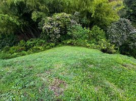  Terreno (Parcela) en venta en Pereira, Risaralda, Pereira