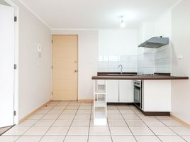 1 Habitación Apartamento en alquiler en Cordillera, Santiago, Puente Alto, Cordillera