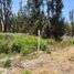  Terreno (Parcela) en venta en Chile, Ovalle, Limarí, Coquimbo, Chile