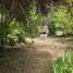  Land for sale in Cachapoal Libertador General Bernardo Ohiggins, Mostazal, Cachapoal