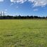  Land for sale in Chile, Entre Lagos, Osorno, Los Lagos, Chile
