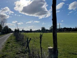  Land for sale in Chile, Entre Lagos, Osorno, Los Lagos, Chile