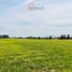  Terreno (Parcela) en venta en Maule, Maule, Talca, Maule