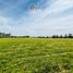  Terreno (Parcela) en venta en Maule, Maule, Talca, Maule