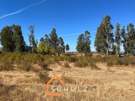  Terreno (Parcela) en venta en Maule, San Clemente, Talca, Maule