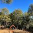  Terreno (Parcela) en venta en Maule, San Clemente, Talca, Maule