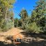  Terreno (Parcela) en venta en Maule, San Clemente, Talca, Maule