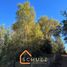  Terreno (Parcela) en venta en Maule, San Clemente, Talca, Maule