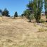  Land for sale in Hualqui, Biobío, Hualqui