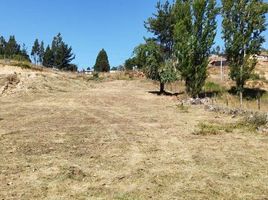  Land for sale in Chile, Hualqui, Concepción, Biobío, Chile