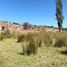  Land for sale in Chile, Hualqui, Concepción, Biobío, Chile