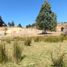  Land for sale in Chile, Hualqui, Concepción, Biobío, Chile