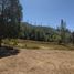  Land for sale in Chile, Hualqui, Concepción, Biobío, Chile