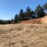  Land for sale in Chile, Hualqui, Concepción, Biobío, Chile