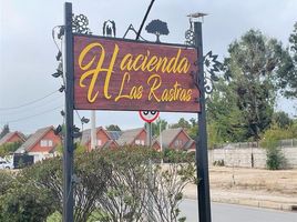 4 Bedroom House for rent in Chile, Maule, Talca, Maule, Chile