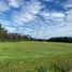  Land for sale in Chile, Golbea, Cautin, Araucania, Chile
