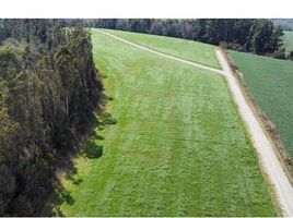  Land for sale in Chile, Golbea, Cautin, Araucania, Chile