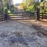  Land for sale in Chile, Golbea, Cautin, Araucania, Chile