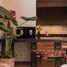 2 Bedroom House for sale in Allende, Guanajuato, Allende