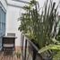 2 Habitación Departamento en alquiler en Miguel Hidalgo, Ciudad de México, Miguel Hidalgo