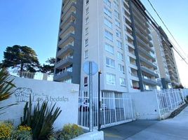 2 Habitación Apartamento en alquiler en Valparaíso, Viña del Mar, Valparaíso, Valparaíso