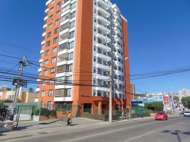 2 Habitación Departamento en alquiler en Valparaíso, Viña del Mar, Valparaíso, Valparaíso
