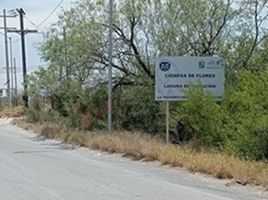  토지을(를) 누에 보 레온에서 판매합니다., 시네가 데 플로레스, 누에 보 레온